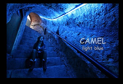 Pictures of Camel light blue - Canon Digital RebelCanon eos 350D ...